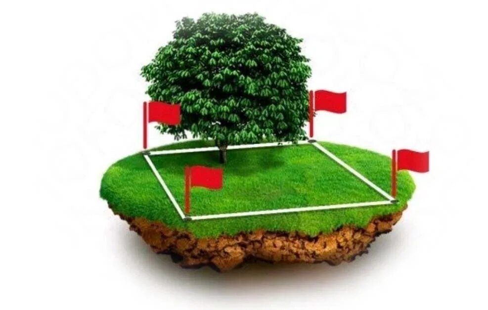 Тошкент тумани битонка янги 16 йилик бунёоткор махалада Ер сотилади