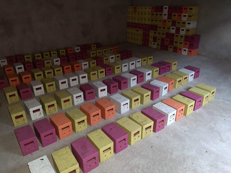 Matci carnica selecționate