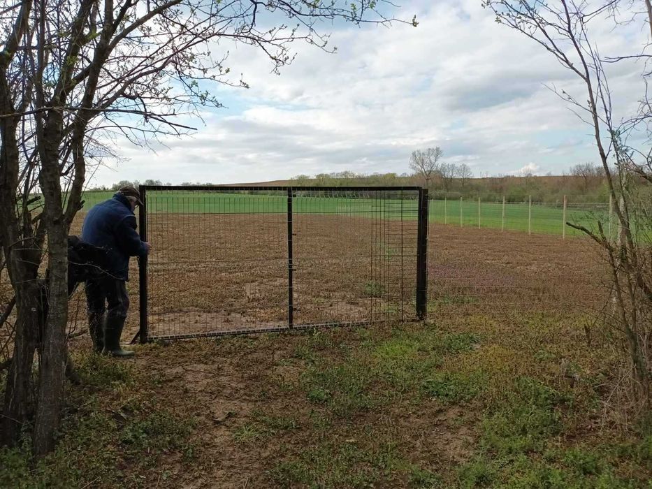 Продава се Парцел в с. Велчево, Област Велико Търново - 2160 кв.м за 9 €/кв.м - Снимка #3