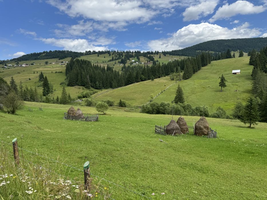 Teren de vanzare la munte in Bucovina