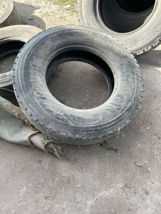 Продам болоны 10000