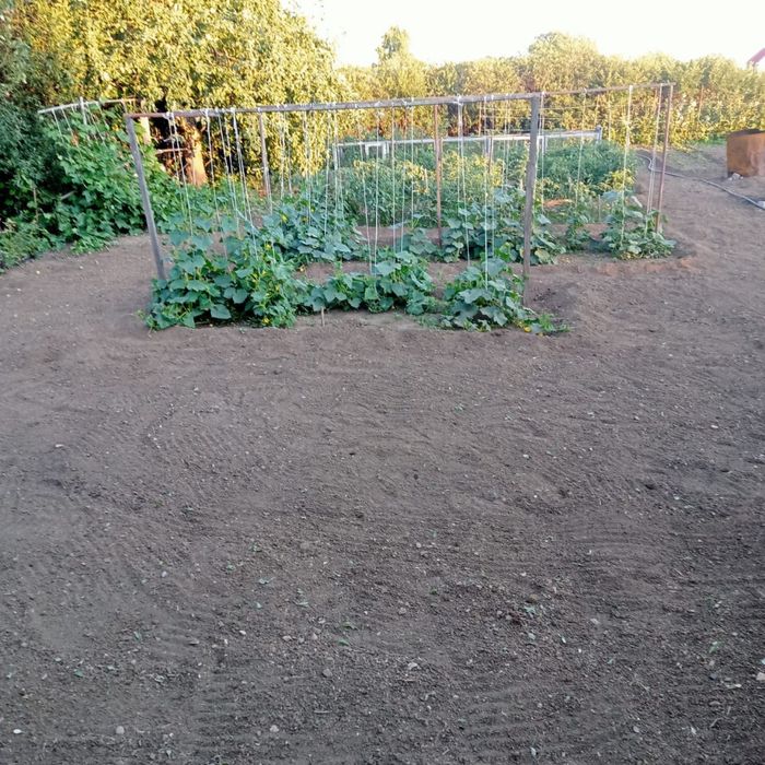 Продам дачу на союзе