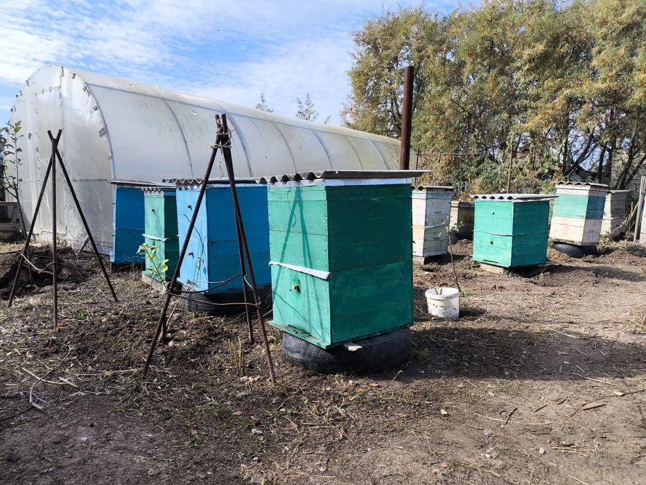 Продам свечи из натурального воска