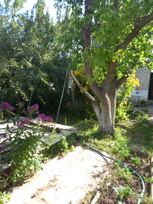 Продам дачу в районе Акжар-2