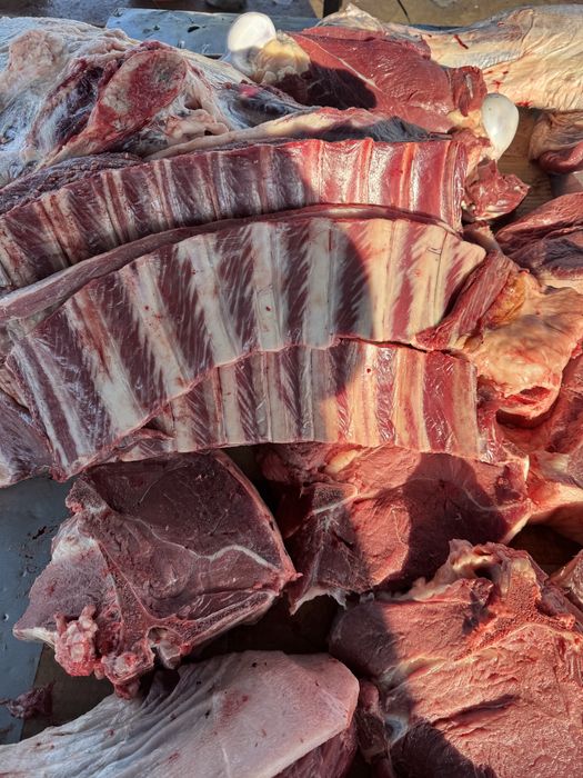 жылқы еті, конина, жілік, соғым