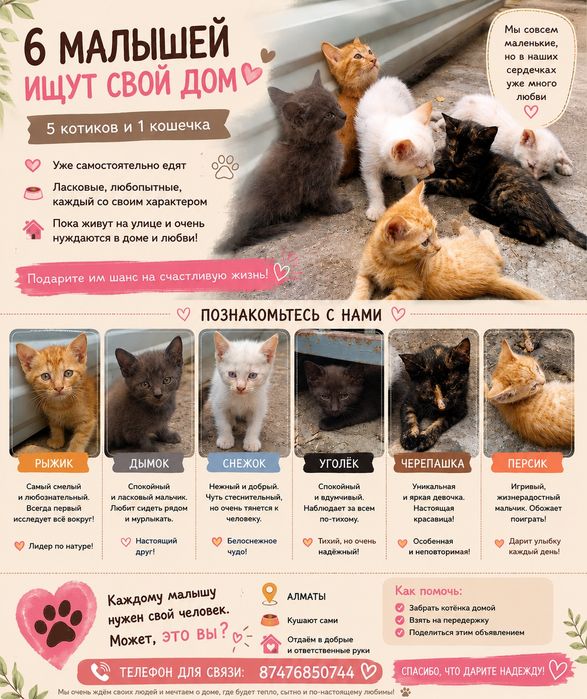 Котята от кошки-крысолова
