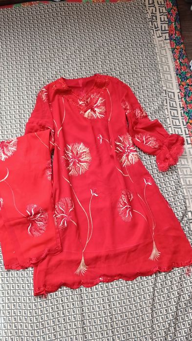 Koylak lozimlar bitta narxda