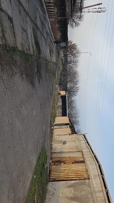 Сотувга чорва учун ферма