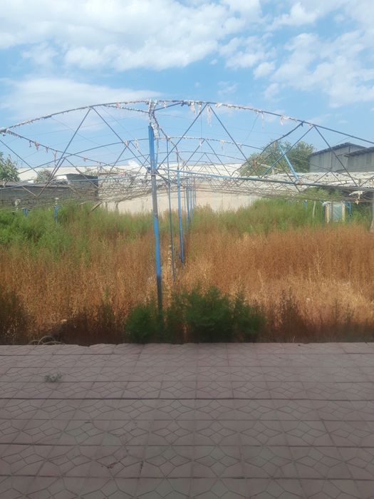 Срочно продаётся типлица