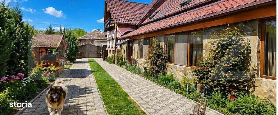 Conac modern cu sauna, ciubar si sera, 1.500 mp gradina – sat Dridif
