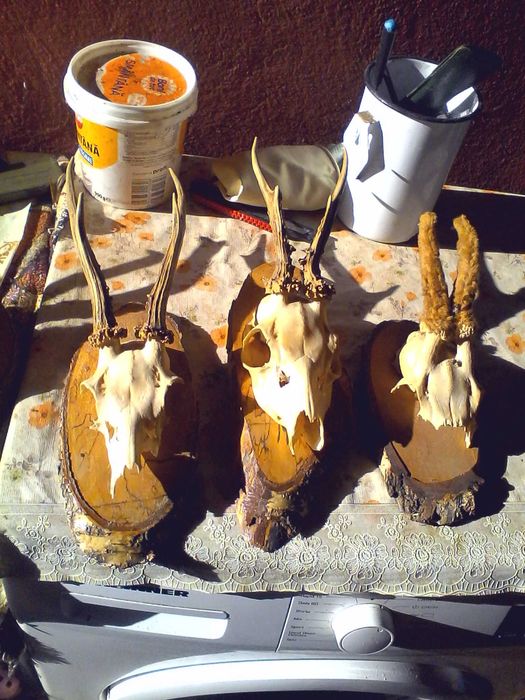 Panoplii Caprior vechi pentru Cabane Pensiuni