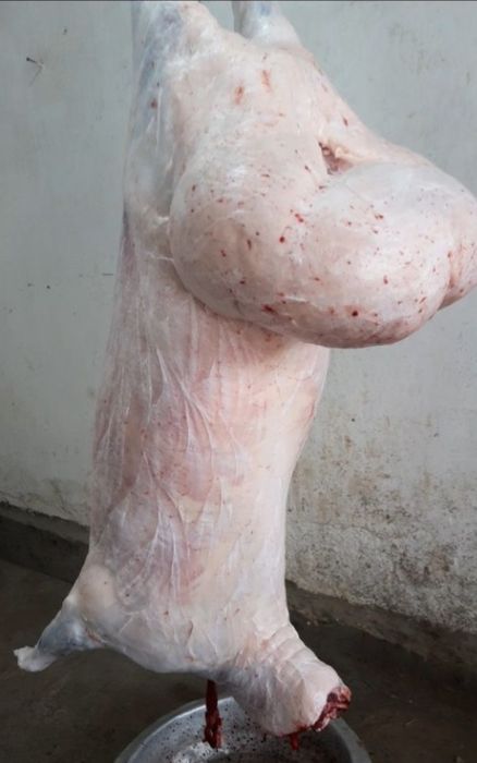 Qassob (serviz ) hizmati