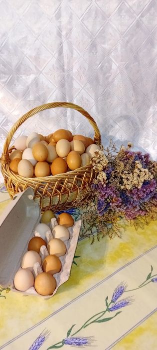 Oua de casa de vanzare