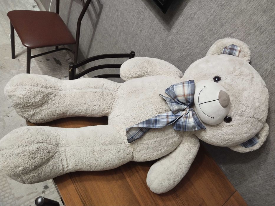 Teddy bear  doll beautiful and soft