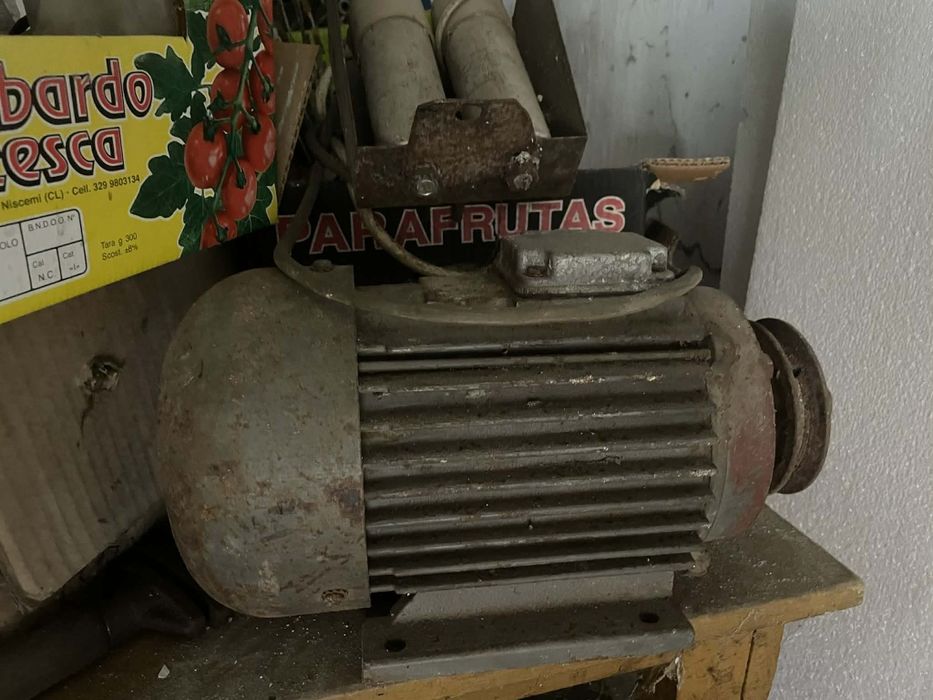 Motor electric Trifazat 1800w, 3000 Rotati