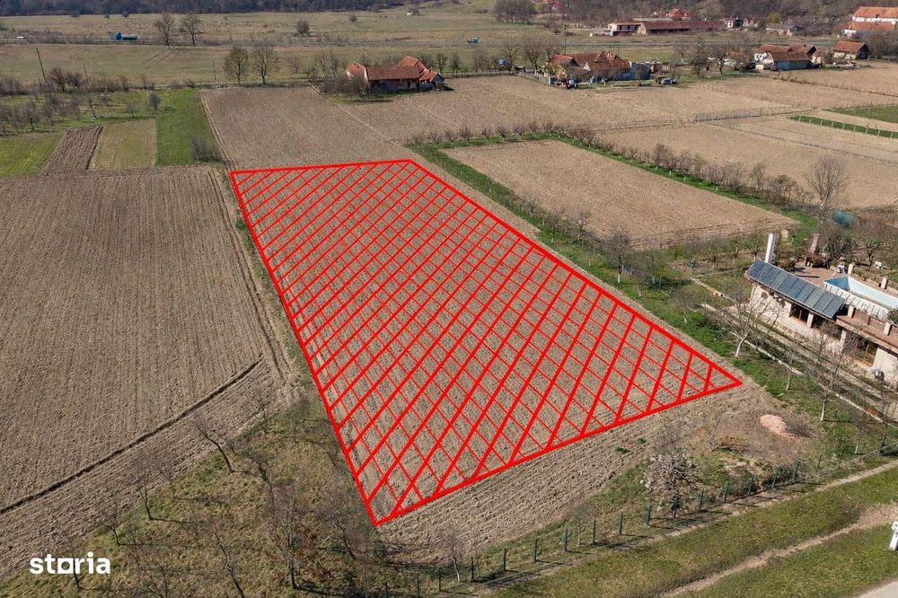 Loc de casă în Odvoș - Conop 3000mp