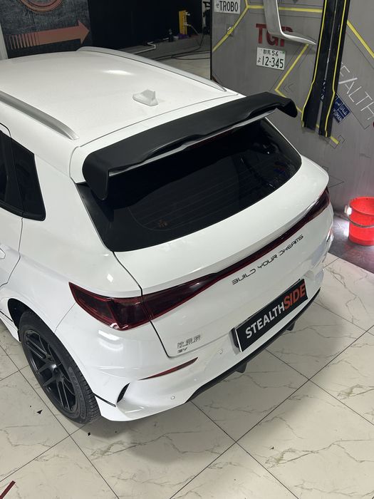 BYD e2 Spoiler Спойлер. Антикрыло Хвост Individual