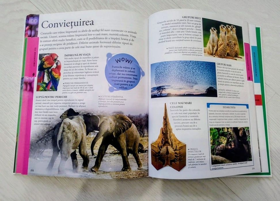 ȘTIINȚA - Enciclopedie pentru copii, - 304 pagini, stare excelenta, ap
