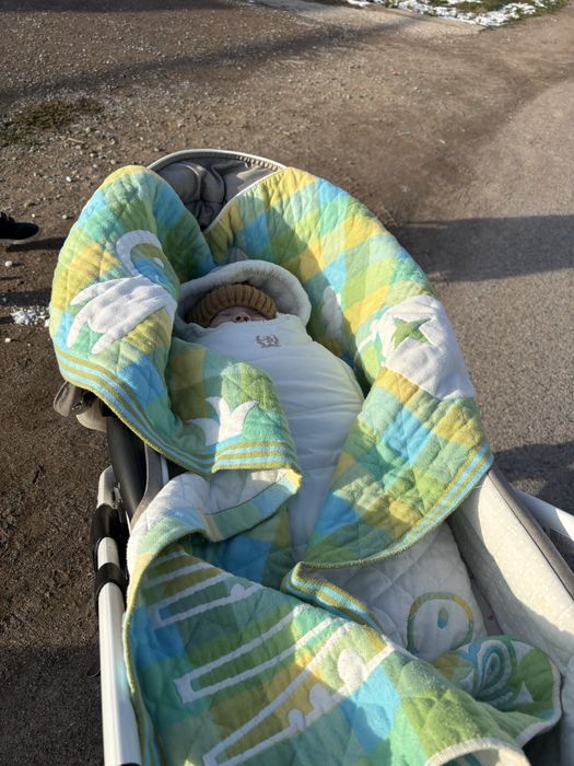 Коляска Адамекс 3/1