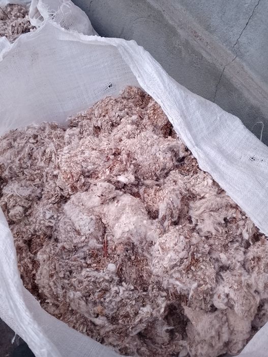 Chulug', (uluk , shulxa, chulqa) mol uchun yem