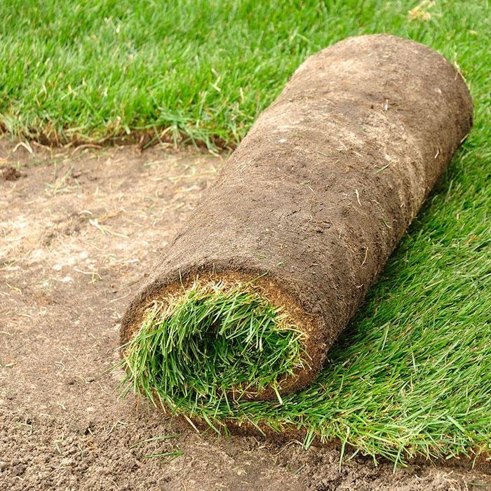 Газон !!! Оптовые цены с гарантией и качеством