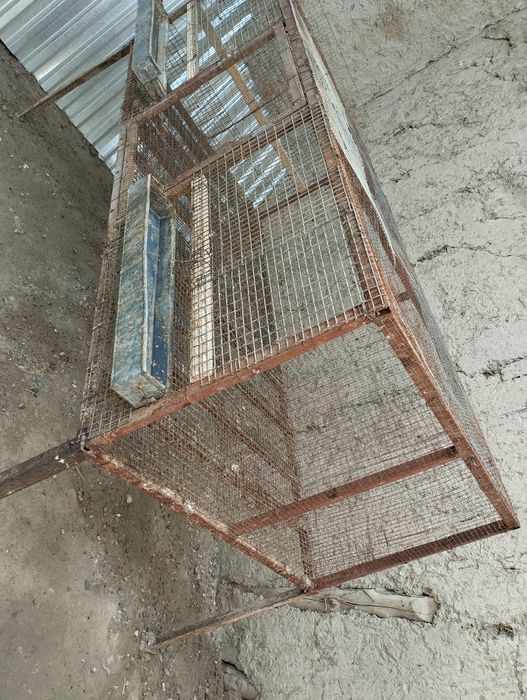 Товук катак  сотилади