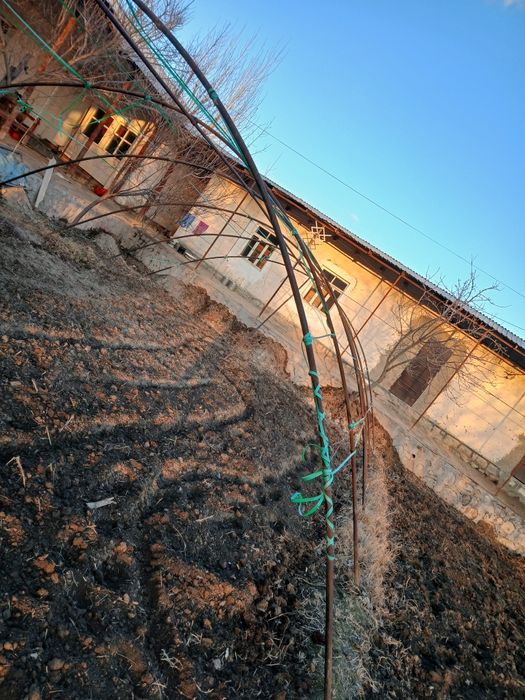 Parnik sotiladi faqat o'zimizning buzib turba qilib beramiz