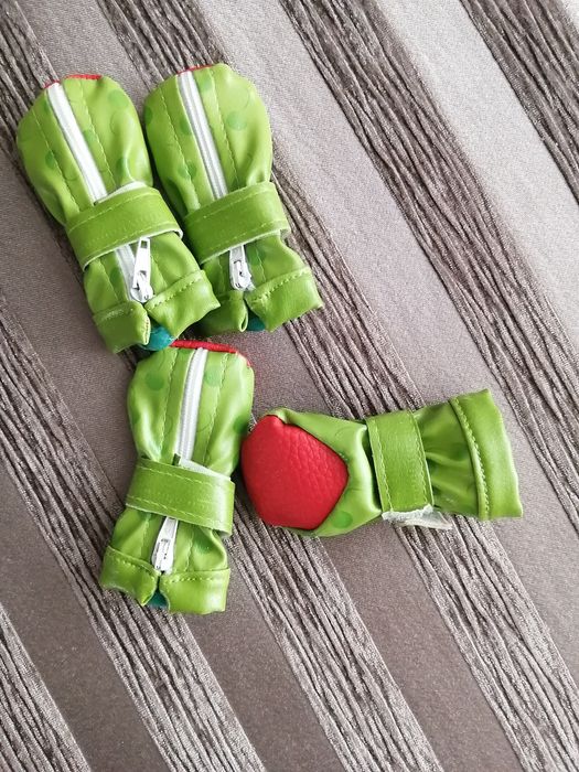 Для собаки курточка и обувь