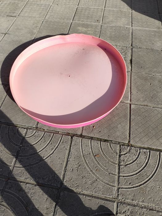 Басейн тава за улови патетата