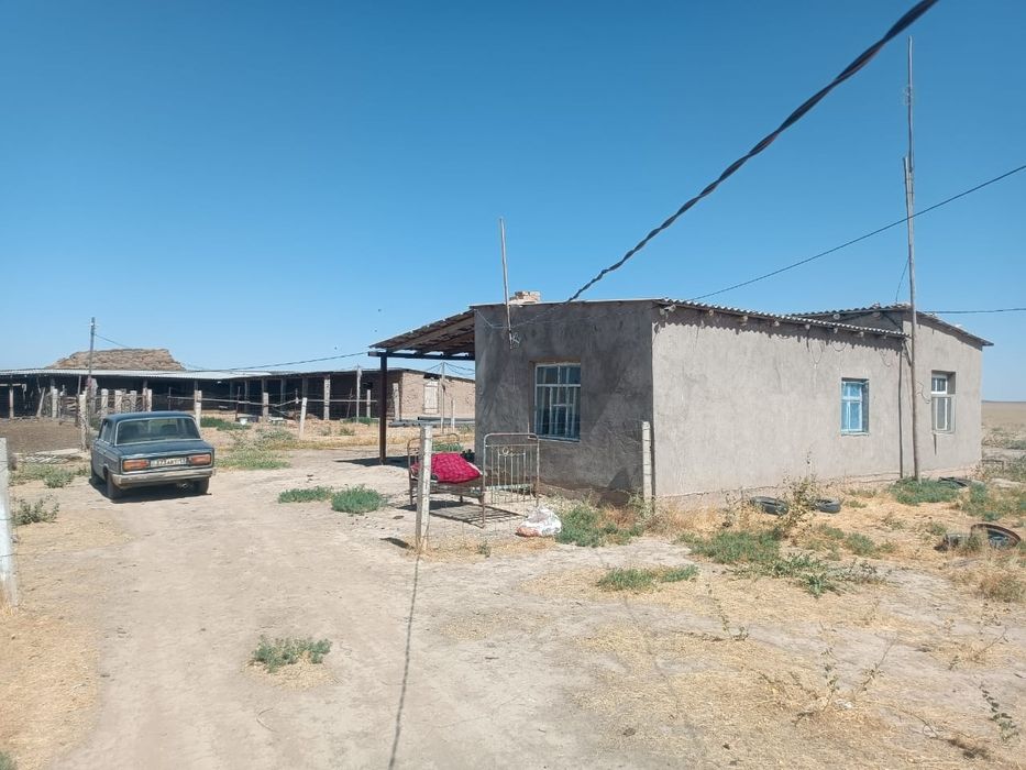 Қой қорамен сатылады