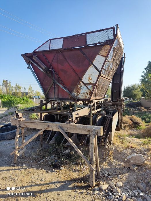 76 lik Kurak shiladigon