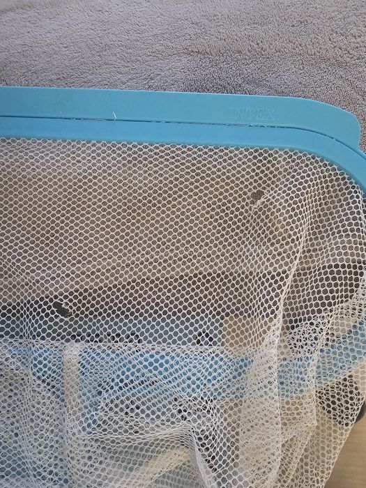 Piscină gonflabilă cu pompă