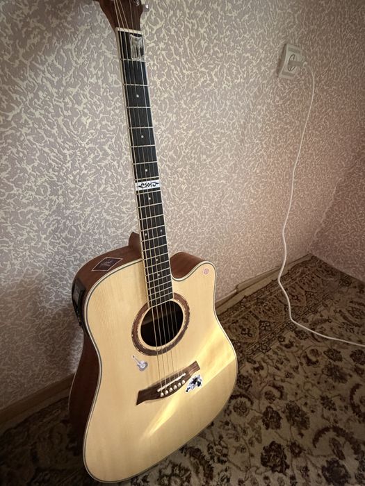 Гитара с чехлом