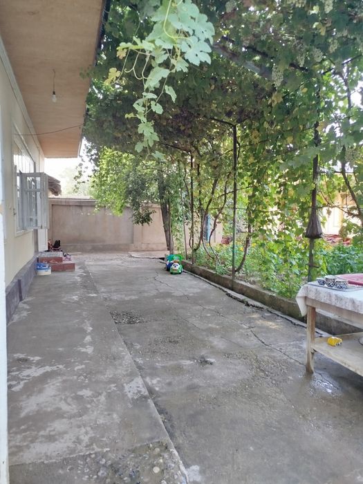 Xovli sotiladi Qibray tumani Salar shaharchasida