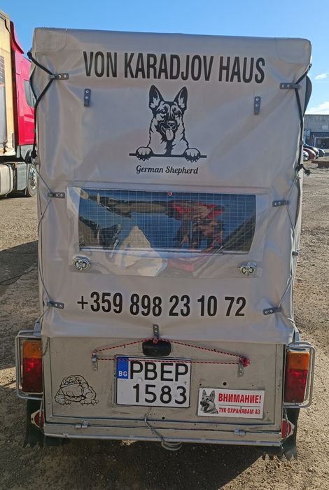 Превоз на домашни любимци в България