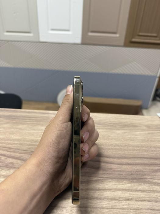 iPhone 13 Pro