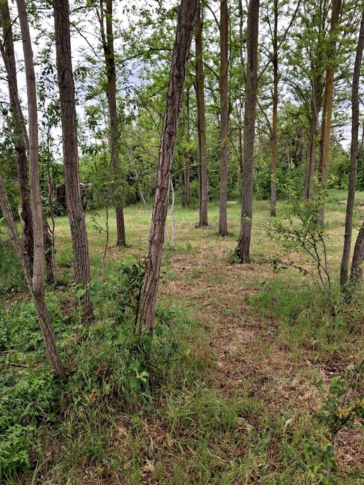 Продава се Парцел в Добрич, Център - 1150 кв.м за 61 €/кв.м - Снимка #6