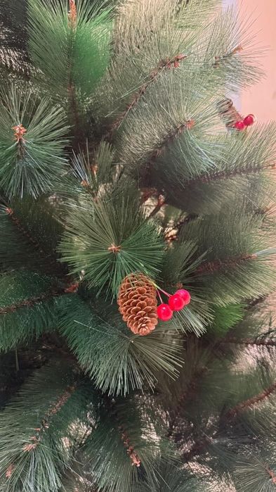 Продам елки новогодние