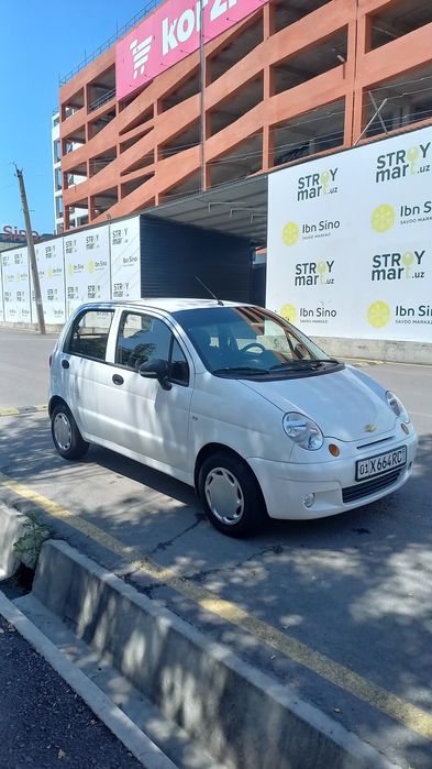 Matiz arendaga rangi oq