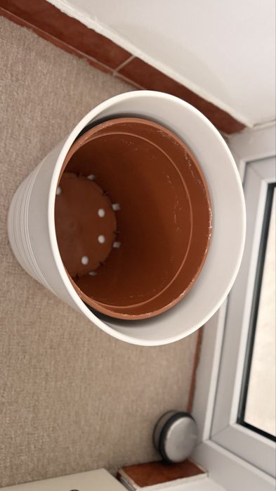 Ghivece ceramica mari - plante inalte de apartament