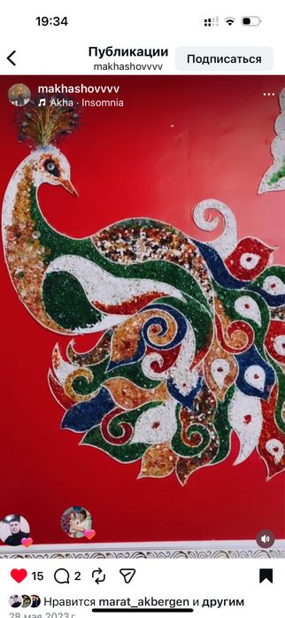 Картинки жар птицы