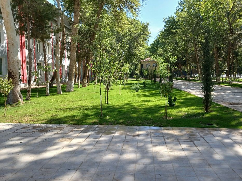Gazon ikkish xizmati