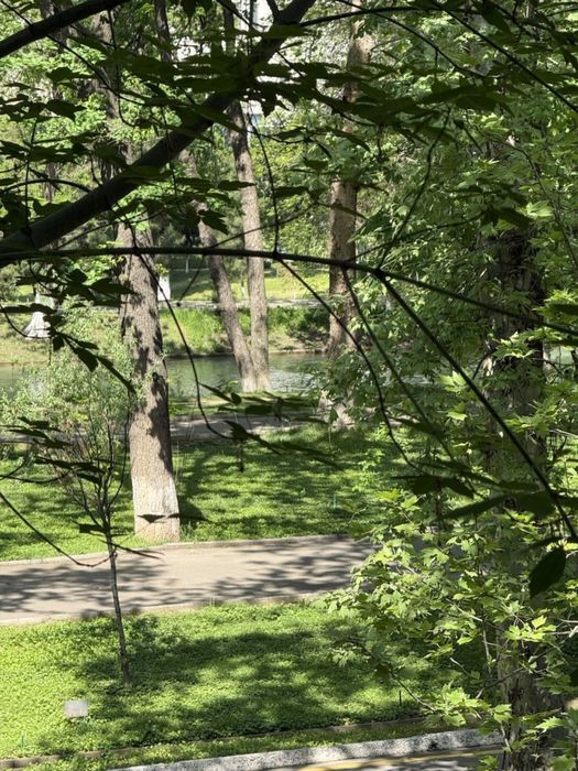 Сдаётся уютная и современная квартира