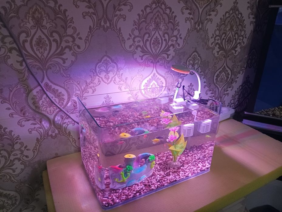 Xitoy quyma akvarium 15 litr komplekti