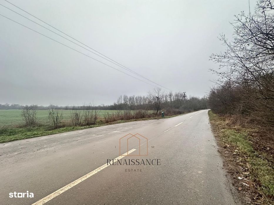 Giroc Teren 30.000mp PUZ APROBAT Pentru Case | Asfalt - Langa Padure