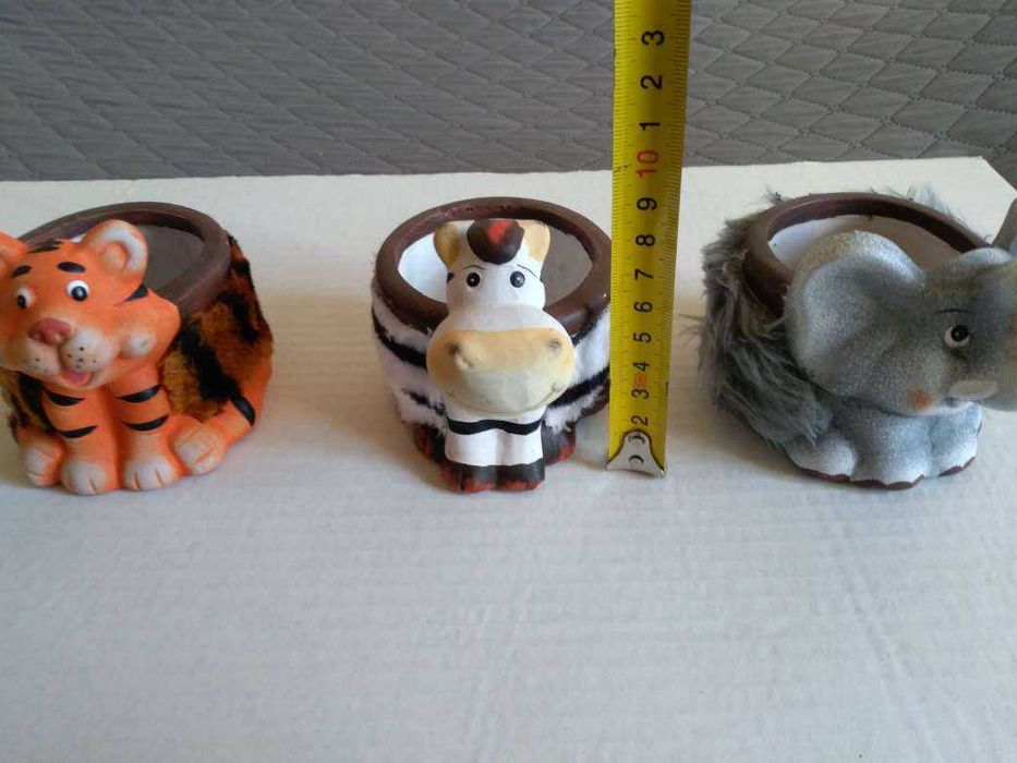 Кактус кактус --