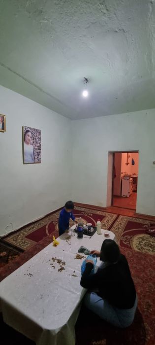 Дом 10 комнатный , монолитный