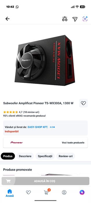Subwoofer Amplificat Pioneer TS-WX300A, 1300 W , s-au schimb cu stație auto