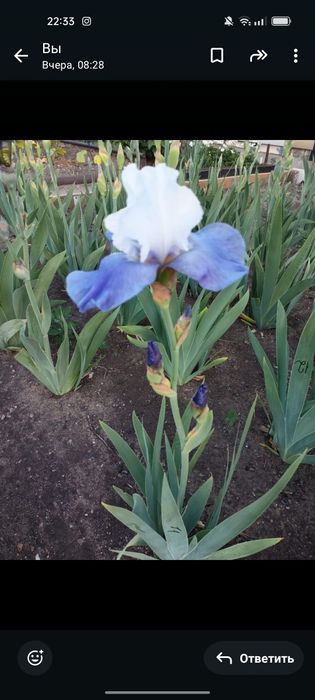 Домашние принадлежности