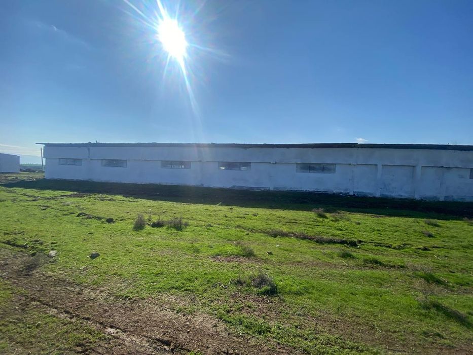 Арендага ферма 50 сотх 400м2 бино берилади викуп, бартер, бўлиб тўлаш